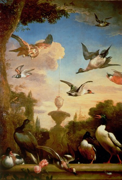 Un Canard Colvert et un Aigle Royal dans un Jardin Classique - Melchior de Hondecoeter