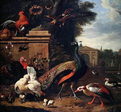 Un paon, un faucon et divers volailles et canards dans un parc - Melchior de Hondecoeter