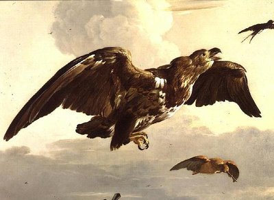 Un aigle et une hirondelle en vol - Melchior de Hondecoeter