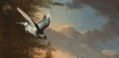 Détail de la Ménagerie, vers 1680 - Melchior de Hondecoeter