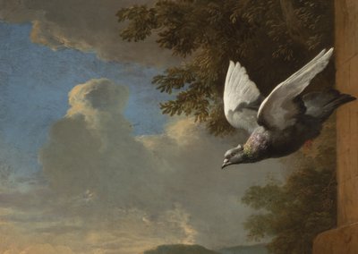 Détail de la Ménagerie, vers 1680 (huile sur toile) - Melchior de Hondecoeter