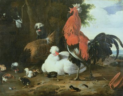Volaille de basse-cour avec pigeons - Melchior de Hondecoeter