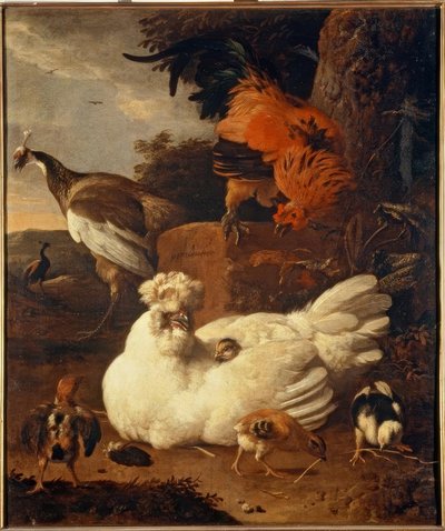 M. de Hondecoeter, Poule avec poussins - Melchior de Hondecoeter