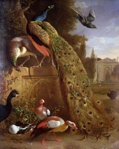 Paon et paonne sur un socle, avec des canards et d