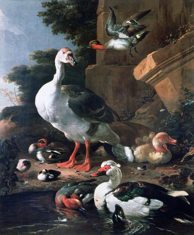 Oiseaux aquatiques dans un paysage classique, XVIIe siècle - Melchior de Hondecoeter