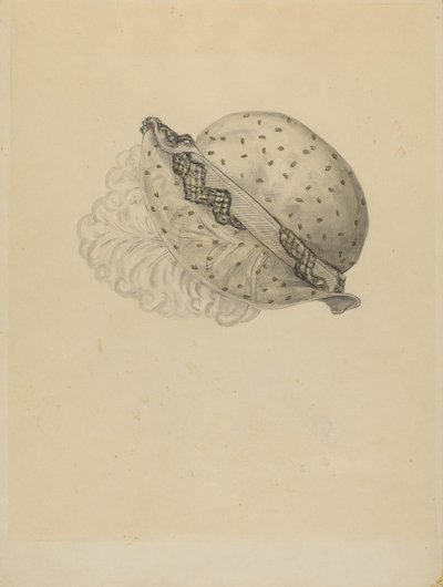 Bonnet Empire - Melita Hofmann
