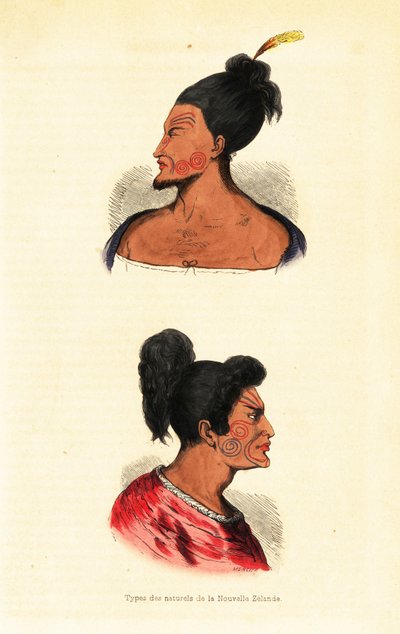 Busts d