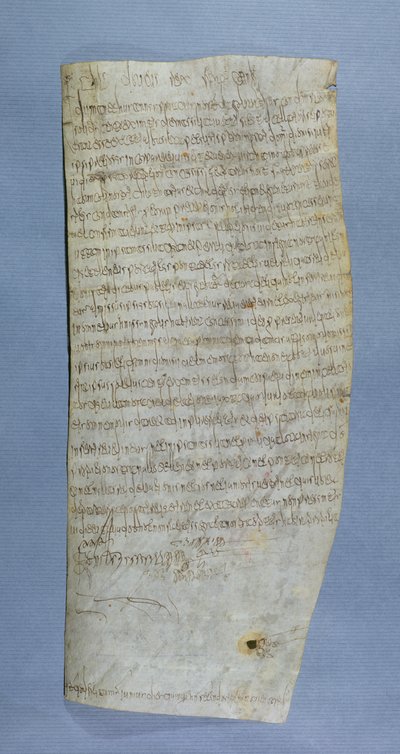Privilège de Clovis III (682-695) accordé à l