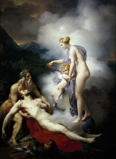 Vénus versant un baume sur la blessure d