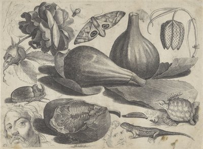 Feuille d
