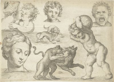 Studieblad met tekenvoorbeelden: koppen en vechtende dieren - Michael Snijders