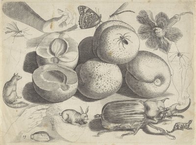 Feuille d