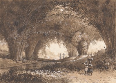 Arches de bambou, St. Anns - Michel Jean Cazabon