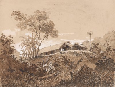 Le Cottage, Mont Tamana - Michel Jean Cazabon