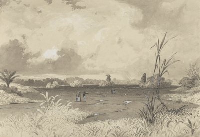 Le lac de bitume - Michel Jean Cazabon