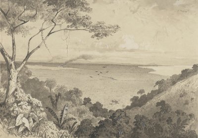 Vue de la colline de Laventille - Michel Jean Cazabon