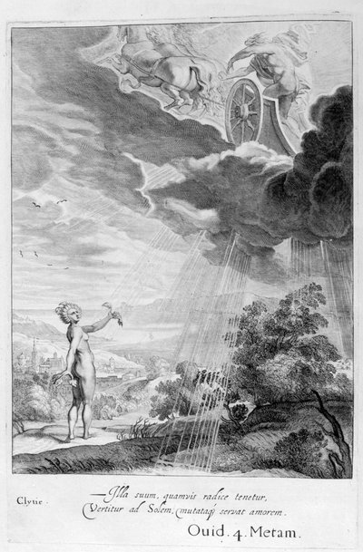 Clytie transformée en tournesol - Michel de Marolles