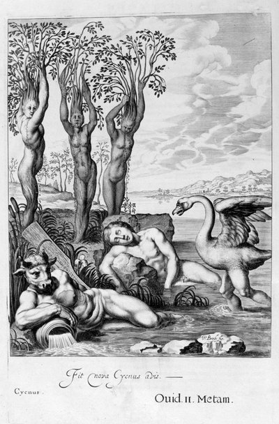 Cygnus transformé en cygne et les sœurs de Phaéton en peupliers - Michel de Marolles