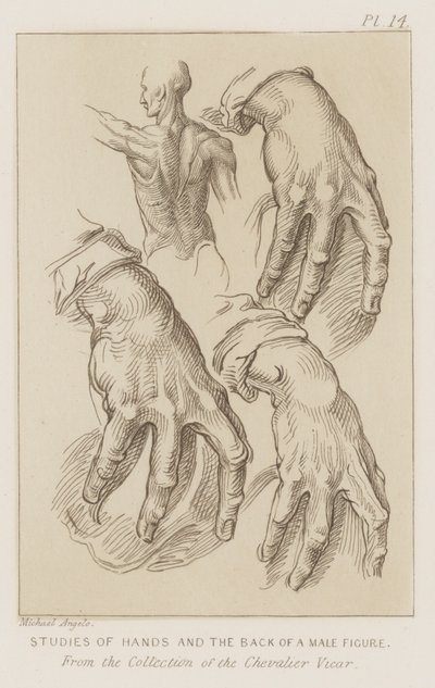 Études de mains et du dos d
