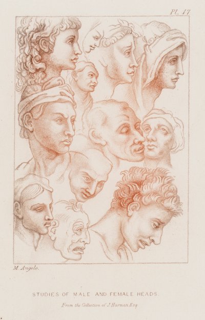 Études de têtes masculines et féminines (eau-forte) - Michelangelo (after) Buonarroti