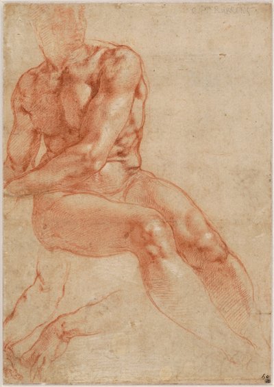 Jeune homme assis et deux études de bras (recto), vers 1510-11 - Michelangelo