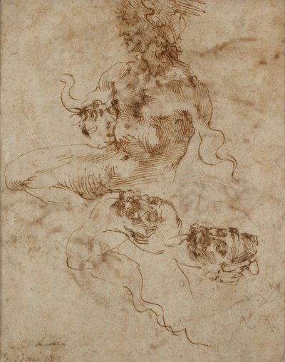 Figure ressemblant à un triton - Michelangelo Buonarroti