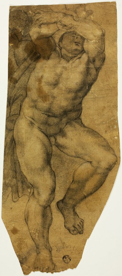 Nu masculin ascendant - Michelangelo Buonarroti