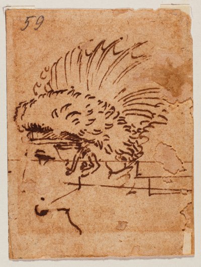 Tête crêtée - Michelangelo Buonarroti