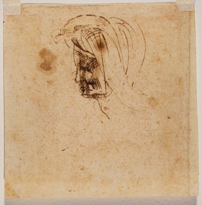 Tête féminine - Michelangelo Buonarroti