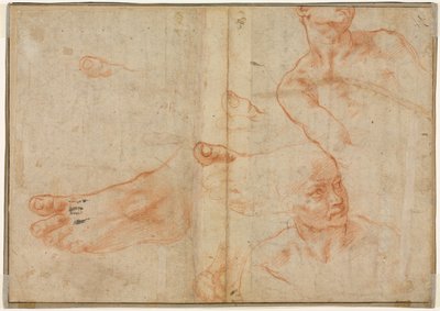 Études de figures pour le plafond de la chapelle Sixtine (verso) - Michelangelo Buonarroti