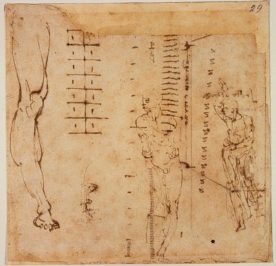 Études de figures - Michelangelo Buonarroti