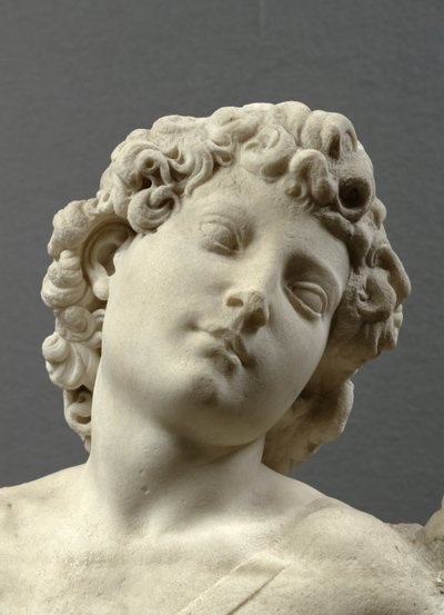 Tête du Cupidon 