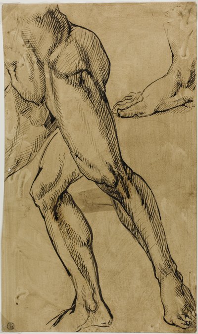 Jambes et pieds de nu masculin - Michelangelo Buonarroti