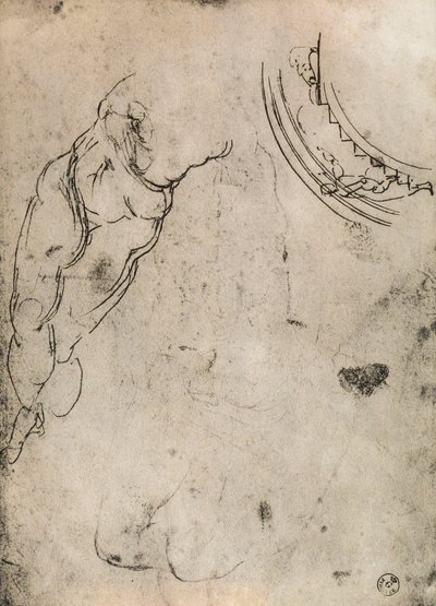 Jambes masculines - Michelangelo Buonarroti