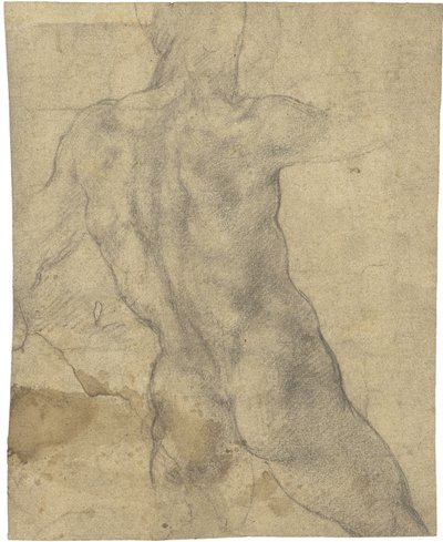 Nu masculin - Michelangelo Buonarroti