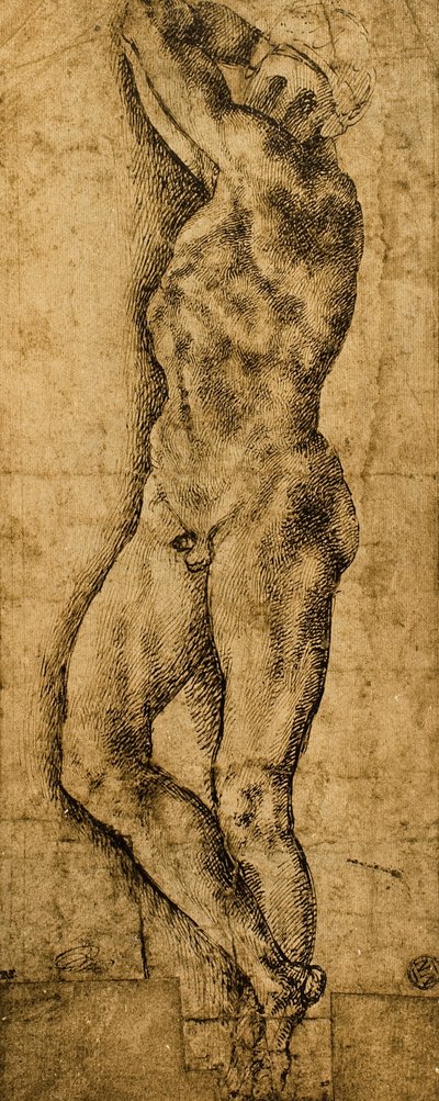 Nu masculin - Michelangelo Buonarroti