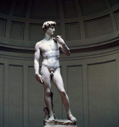 David de Michel-Ange - Michelangelo Buonarroti