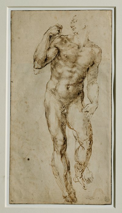 Nu masculin, vue de face, vers 1502-1506 … - Michelangelo Buonarroti