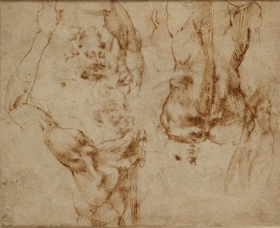 Études de nus - Michelangelo Buonarroti