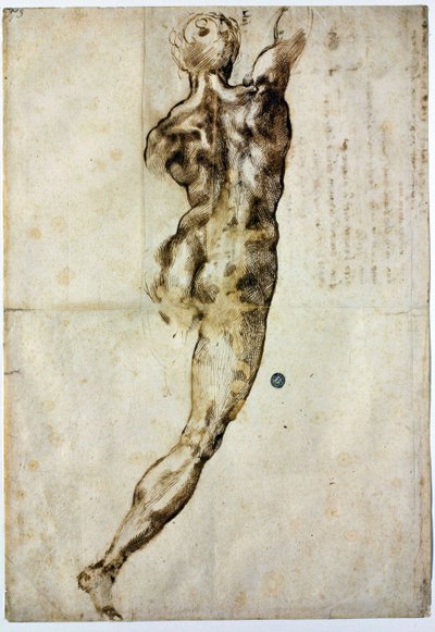Nu de dos, c. 1504 - Michelangelo Buonarroti