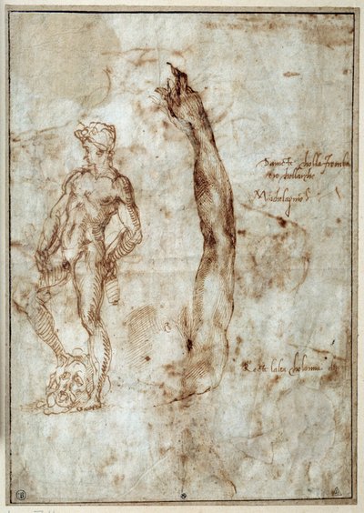 Étude de nu. Michelangelo Buonarroti dit Michel-Ange - Michelangelo Buonarroti