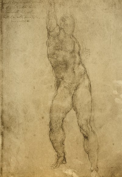 Étude de nu - Michelangelo Buonarroti