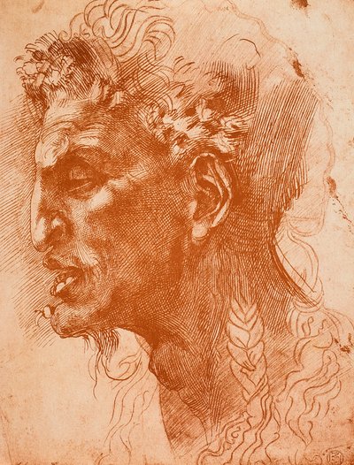 Tête de satyre - Michelangelo Buonarroti
