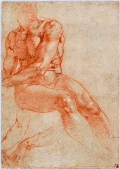 Jeune homme nu assis et deux études de bras, vers 1510-1511 - Michelangelo Buonarroti