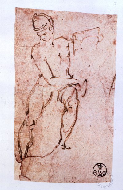 Plafond de la chapelle Sixtine (1508-12) : esquisse d