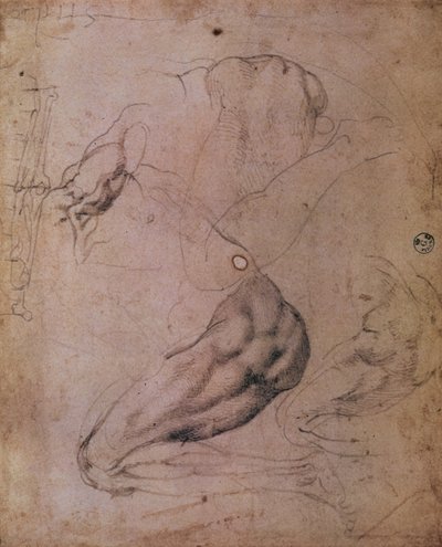 Plafond de la Chapelle Sixtine (1508-12) : croquis de la figure d