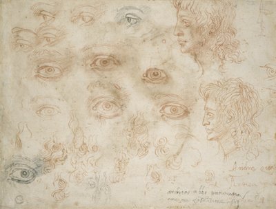 Études de deux têtes, c.1525 - Michelangelo Buonarroti