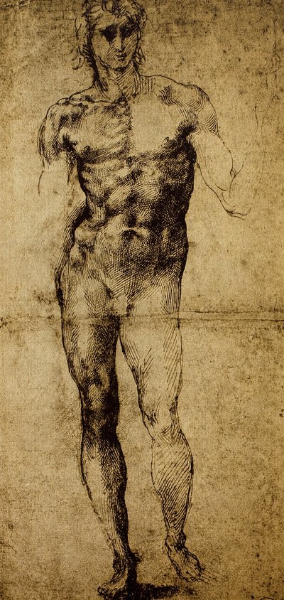 Étude pour un nu masculin - Michelangelo Buonarroti