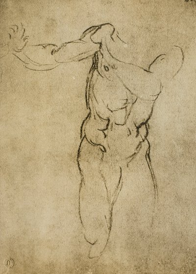 Étude pour un buste masculin - Michelangelo Buonarroti