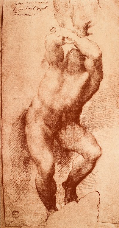 Étude pour une des figures du Jugement dernier - Michelangelo Buonarroti
